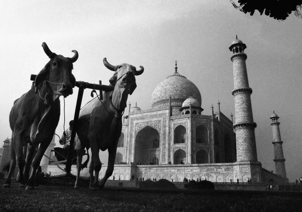 Supriya B - 4. Our Pride Taj Mahal