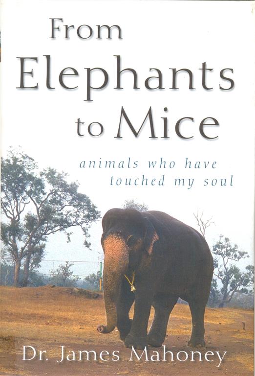 From Elephants to Mice-Animals who have touched my Soul Image