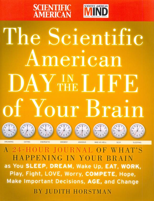 The Scincetific American Day in the Life of Your Brain-image