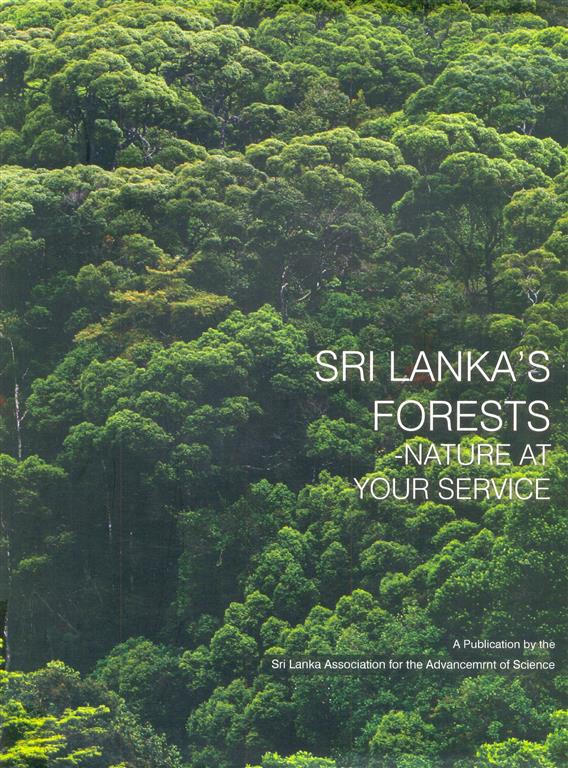 Sri Lankas Forests : Nature at your service-image