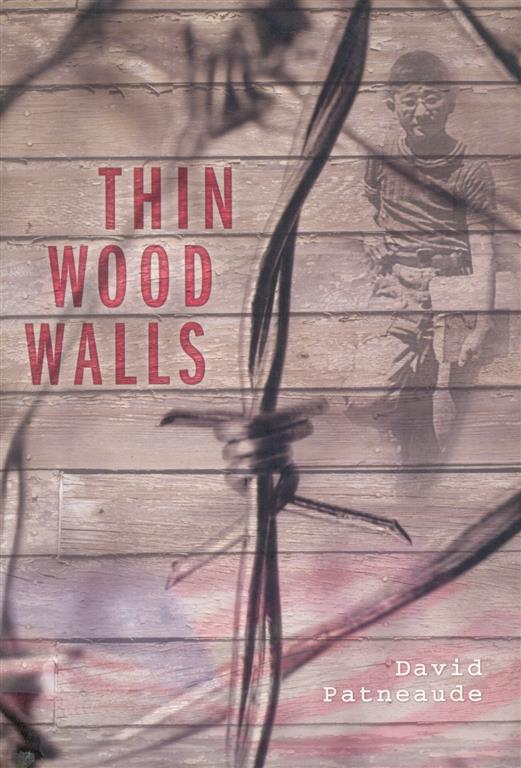 Thin Wood Walls-image